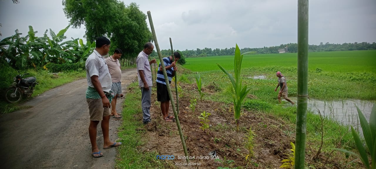 Activity Image