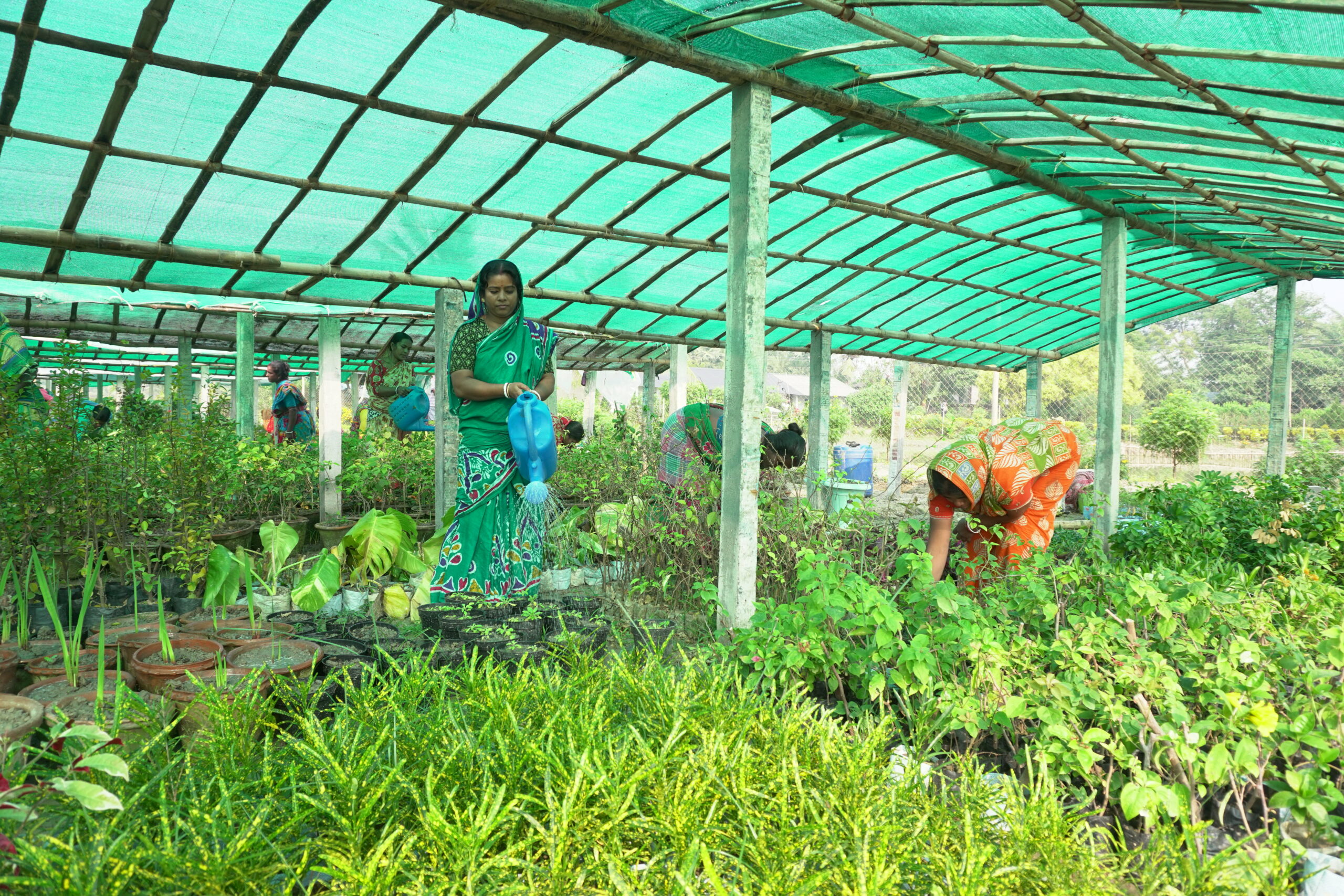 Organic Agriculture & Handicraft Expo