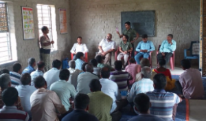 Sustainable Agriculture Movement