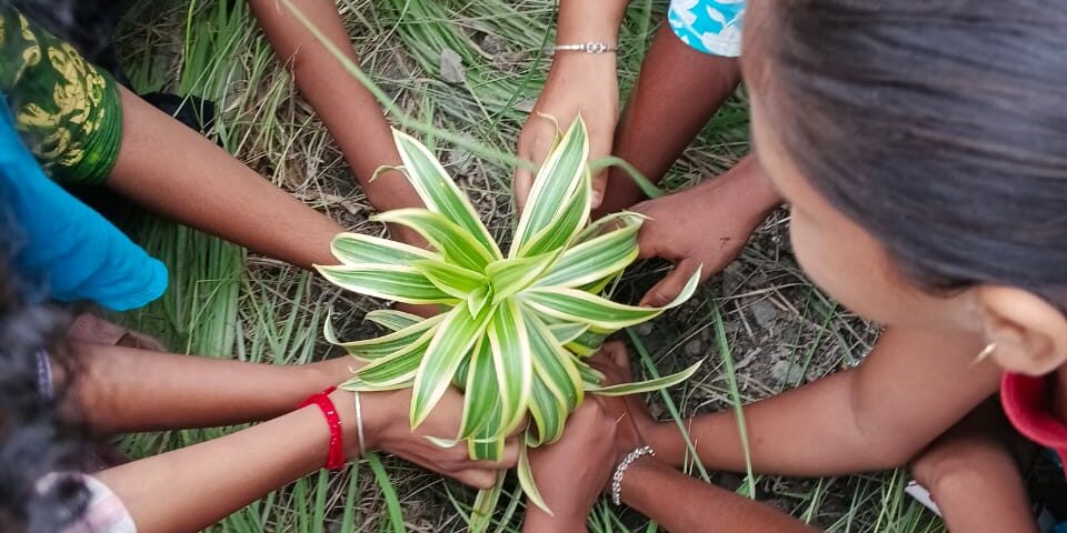 Activity Image